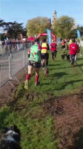 Start of a canicross race
