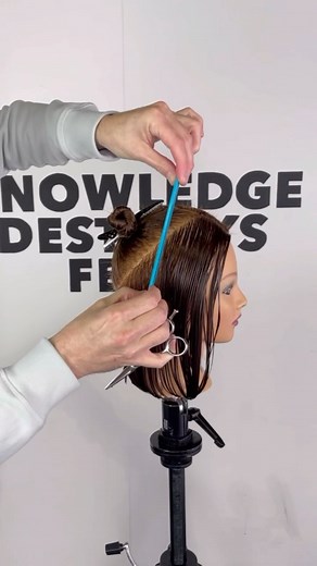 Bob with Graduation ⬇️ Here’s one of my favorites the ‘Bob with Graduation’ from front to back (aka the inside out) Creating Triangular graduation backwards while protecting the outline. The haircut that will challenge us all and make us better at what we do. Giving us a deeper understanding of how haircutting works ⬇️ Join our @knowledgedestroysfear private page ($150 per year) and gain access to all of our education. Follow the Linktree link in my bio to take advantage of our membership sale ⬇