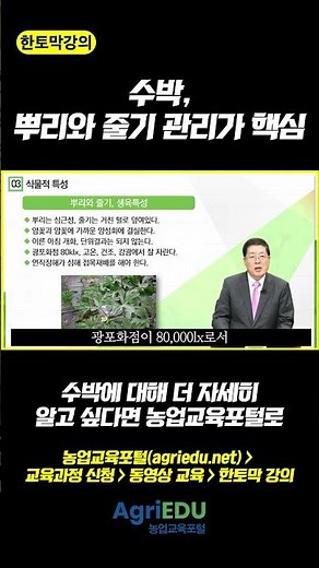 [Mini-Lecture] EP.23 Watermelon Farming: Start by Checking the Roots and Stems!