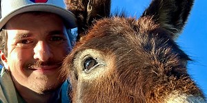 How to train your donkey