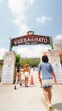 Curaçao Highlights City, Cave & Coast