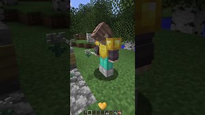 Types of Pranks in Minecraft