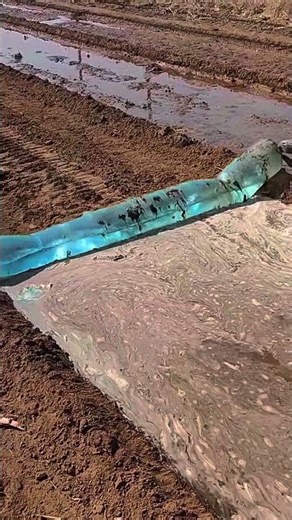 The Amazing Process of Water Flowing to Wet the Farmland in the Best Way #Shorts