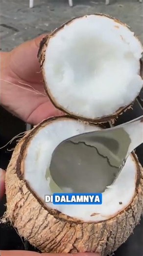 cara membedakan kelapa kopyor ternyata begini !