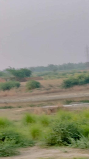 Agree ? 🥹 Ameer Umar 920 Trending Comedy Video