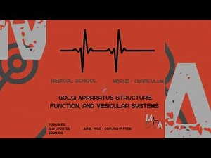 🧬 Golgi Apparatus Structure, Function, and Vesicular System - M.A.I - Med School Notes. MBChB Notes.