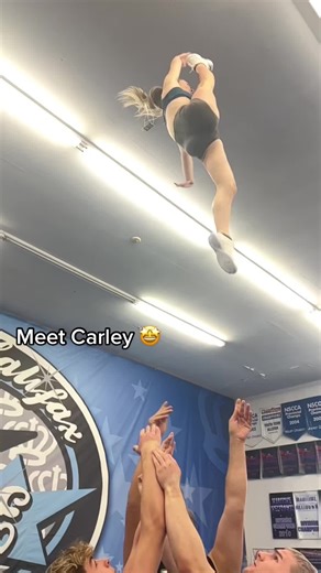 BLUE CREW what it do???