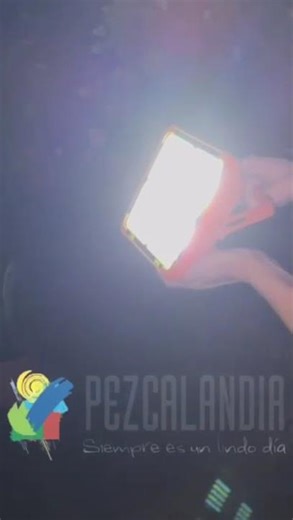 Reflector Led Recargable Solar Con Baliza