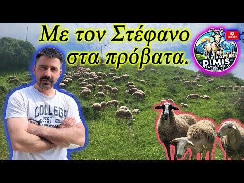Με τον Στέφανο στα πρόβατα!