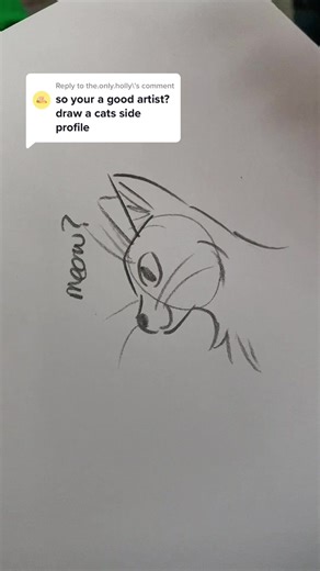 Drawing a Cat Side Profile | Step-by-Step Tutorial