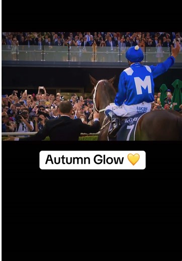 Can Autumn Glow Compete with the Great Winx?