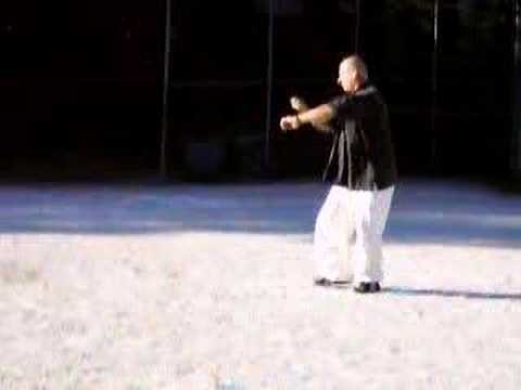 Bung Bo - Tai Mantis variation