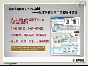 DXperience WinForm控件视频教程之(1)：XtraGrid功能概述