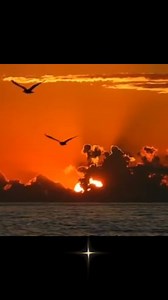 77 reactions · 25 shares | Once There Was a Love - Jose Féliciano ♥️ | Romantic Love Songs | Facebook