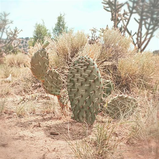 SpongeBob Movie Clips: Fun Dance and Cool Voices