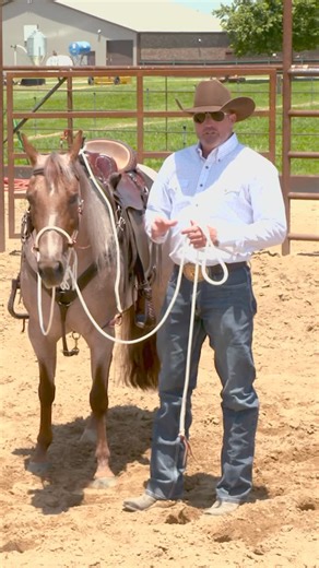 Downunder Horsemanship on Instagram: "Clinton explains why he prefers to start his horses in a hackamore rather than using a bridle with a snaffle bit. Special Offer: Now through Wednesday, March 12th, buy an Aussie Hackamore, receive 25% off a premium No Worries Club membership – a savings of $100. How to Score the Deal: ✔️ If you’re not a member yet: Add the Aussie Hackamore to your cart and a premium No Worries Club membership. Your discount will automatically be given at checkout. ✔️ If you’