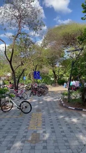 ❤️IITM PARADOX 22 | | IIT Madras Campus Tour | What's inside IIT Madras ? DAY 1 | ENTERING PARADISE