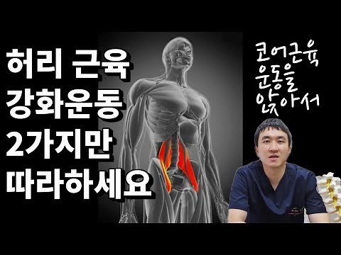 '장요근 강화 운동', '기립근 운동' : 허리 통증을 줄여주는 허리근육운동 핵심 2가지