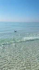 Crystal Clear Water of the Emerald Coast part 1 | Destin Beach
