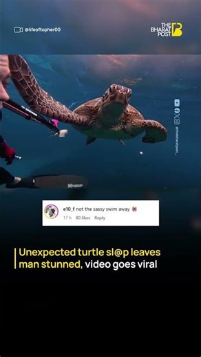 Man slapped by turtle goes viral, internet reacts | The Bharat Post