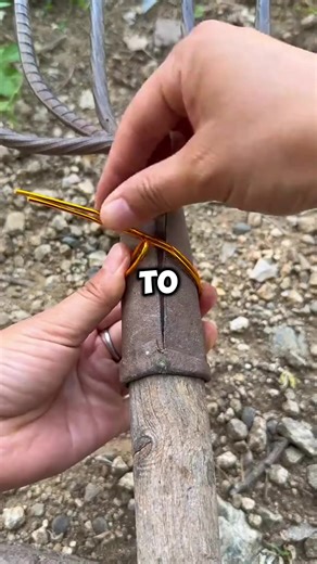 Engaging Reddit Readings: Captivating Storytime Collection