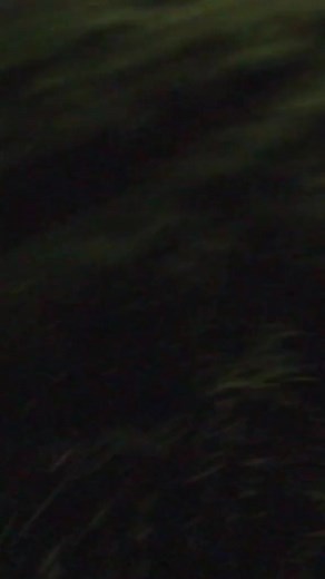 893K views · 7K reactions | Can't be blamed for getting home late tonight  #creature #alien #horror #shortestblockbusters #fy 6883275573095877890cc #scary #horror #halloween #creepy #spooky #horrormovies #art #ghost #horrorfan #haunted #october #scarystories #dark #horrorart #horrormovie #paranormal | Scary Ghost | Facebook