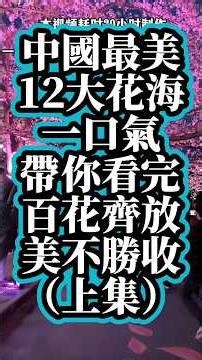 中國12大花海，春暖花開，旅遊觀賞絕佳季節 #中國旅遊#旅行 #景區 #景區 #旅游 #大熱門 #大美中國#travel#旅行大玩家