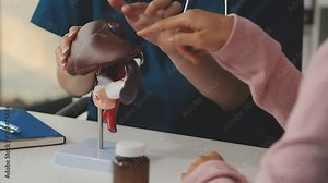 Gastroenterologist doctor explaining liver and gallbladder problems using anatomical model to patient during clinic visit. Treatment of gallbladder and liver diseases