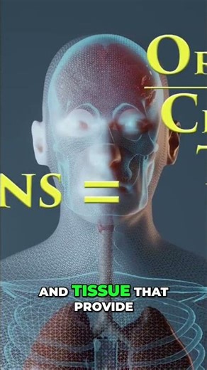 Your Body's Skin - The Ultimate Protector Explained