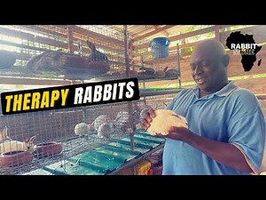 Retired Couple Using Rabbit Farming as THERAPY || K&E Rabbit Farms