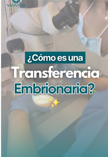 ⭐️Transferencia embrionaria: un paso lleno de esperanza.⭐️ 🔍La transferencia embrionaria es uno de los momentos más importantes del tratamiento de fecundación in vitro. ✨En este procedimiento, el embrión seleccionado es colocado cuidadosamente dentro del útero con el objetivo de favorecer su implantación. 🩵Es un procedimiento rápido, guiado por ecografía y realizado con la máxima precisión para brindar las mejores condiciones posibles en este importante paso hacia el embarazo. Cada transferenc