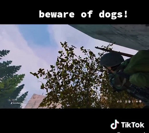 Dog Jumps Over Fence - Funny Moment Caught on Camera!