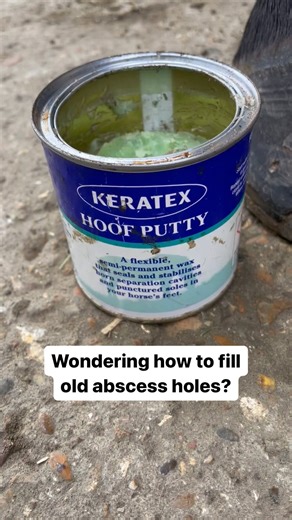 Plug and protect hoof cavities and separation with Keratex Hoof Putty 👌 ✅ Super Adhesion Even in Turn Out ✅ Waterproof ✅ Stops Mud & Grit from Getting In ✅ Protect Holes Even After Poulticing Thank you for the content @vicki_gallacher_kilbey 😻 #instahorse #pferdeliebe #horsegirl #horses #horseriding #horselove #horselife #horsebackriding #hoof #hooves #huf #hufschmiede #hoofporn #keratex #keratexhoofcare #hoofputty | Keratex Hoofcare