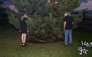 100 gecs - money machine (无结尾噪音版）