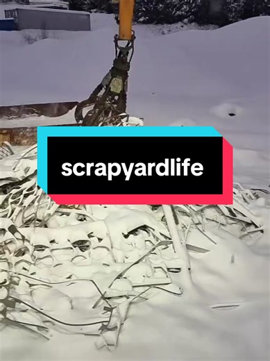 Exploring Scrap Yard Life: Unique Highlights