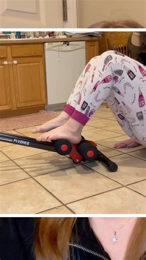 fly bird ab machine pros and cons