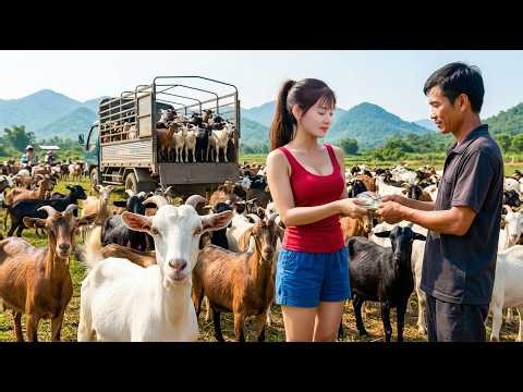 Buying 100+ Goats at Village Market | Massive Deal and Unexpected Chaos - Her Green Haven