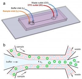 Microfluidics device Detects Cancer Cells in Blood | Technology
