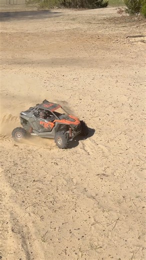 RZR Rey Rear Diff Exploded!