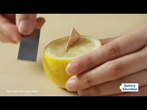 Battery Education | LEMON BATTERY | 2023 [Panasonic]