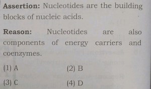 Assertion: Nucleotides are the building blocks of nucleic acids... | Filo