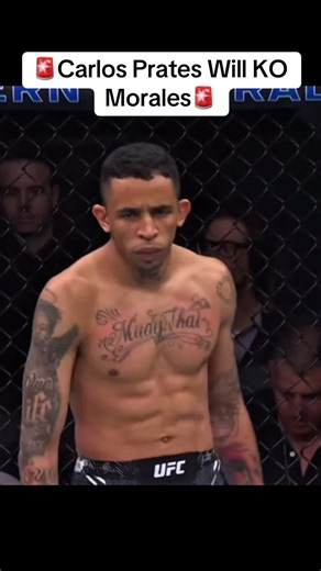 Prates highlight reel KO incoming #runouts #ufc #carlosprates #michaelmorales #mmatok