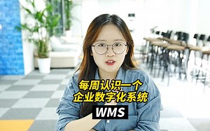 每周认识一个企业数字化系统 WMS