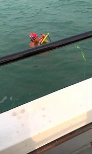 79K views · 2.7K reactions | So September 2014 Speedo Mick swam the...