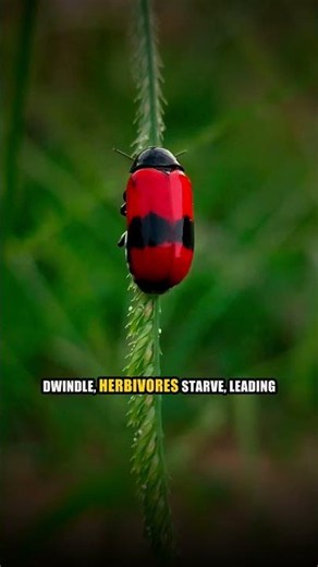 What Happens If Insects Decline by 2030?
