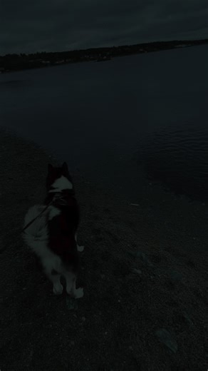 Ann Carter on TikTok