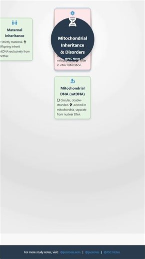 Mitochondrial Inheritance and Disorders