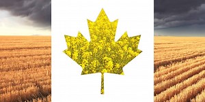 14K views · 168 reactions | Did you know that 98% of Canadian farms are family-owned and operated? This #CanadaDay let’s recognize agriculture as more than just a business, but a lifestyle for many Canadians | Agriculture and Agri-Food Canada | Facebook