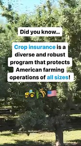 35 reactions · 5 comments | Crop Insurance Keeps America Growing on Reels | Facebook