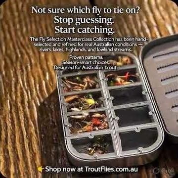 GUIDES 100 OF THE WORLDS BEST FLY FISHING FLIES